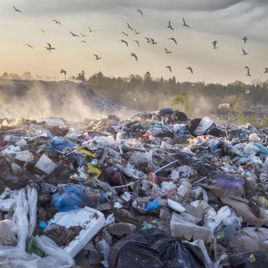 Climate Change + Refillery Importance