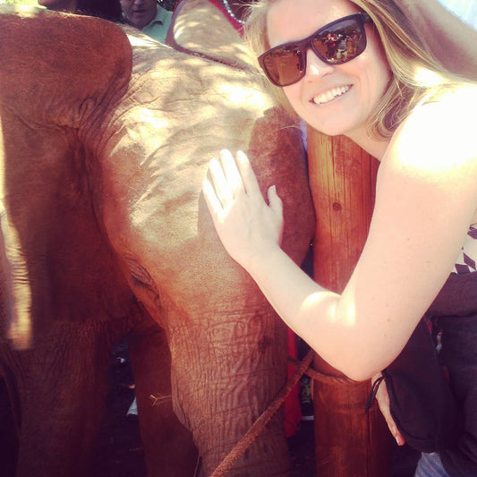 Elephants, Climate Change and Chinese Lightning Rods