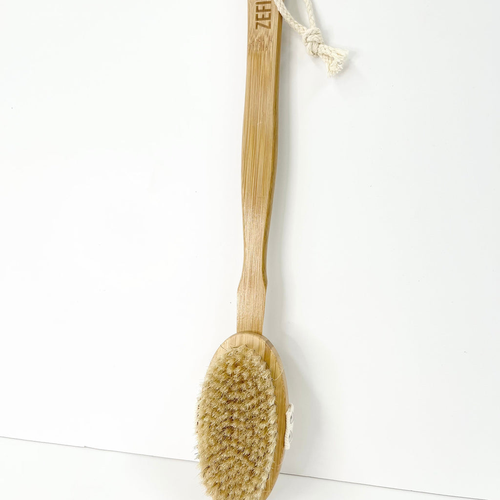 Body Brush with Handle