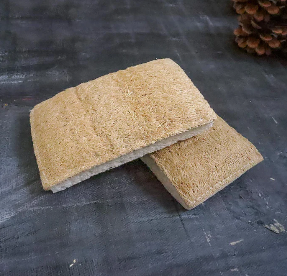 Eco Sponge