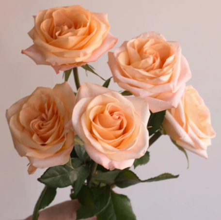 Mother's day Flowers