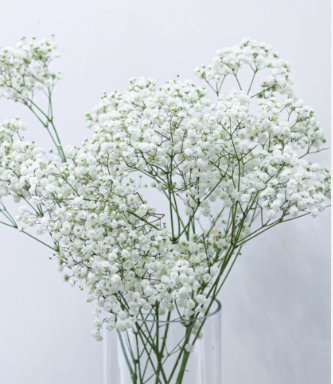 Mother's day Flowers