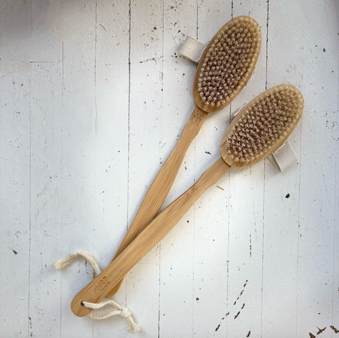 Body Brush with Handle
