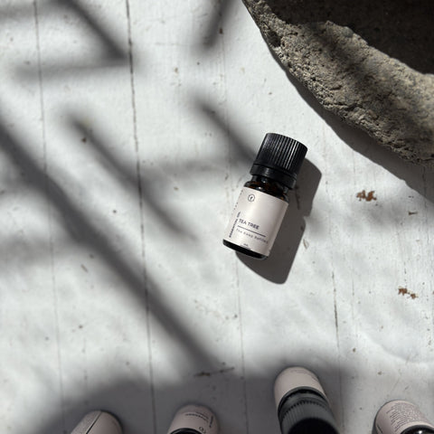 The Keep Essential Oils